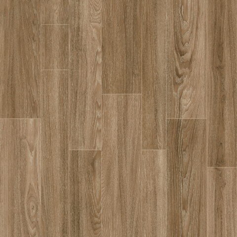 CALIDO-22.C.880.5848